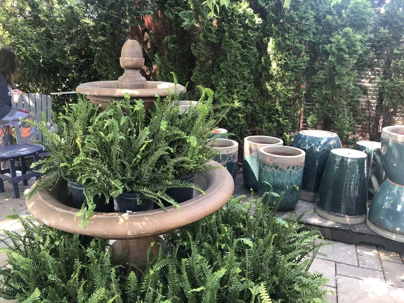 Espace extérieur d'une jardinerie : fougères en pots et poteries émaillées alignées sur des palettes