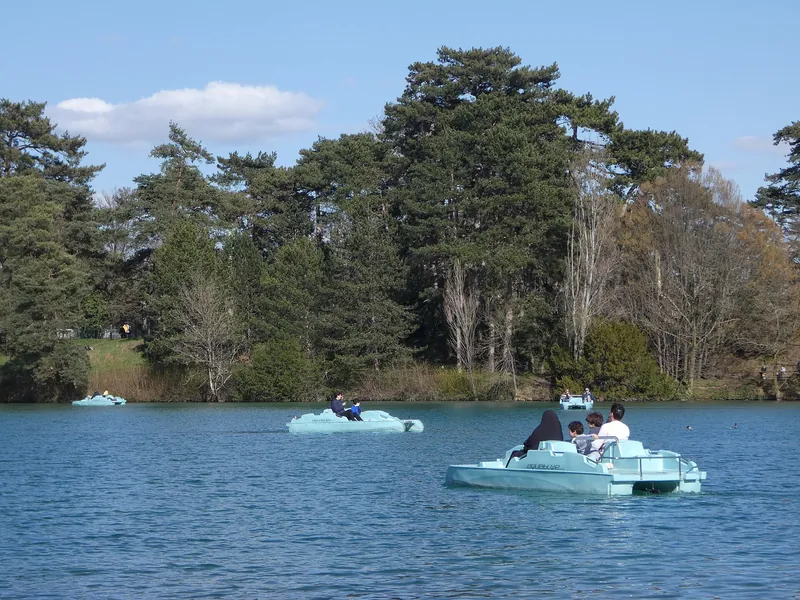 Pédalos sur le lac du parc de la Tête d'Or à Lyon